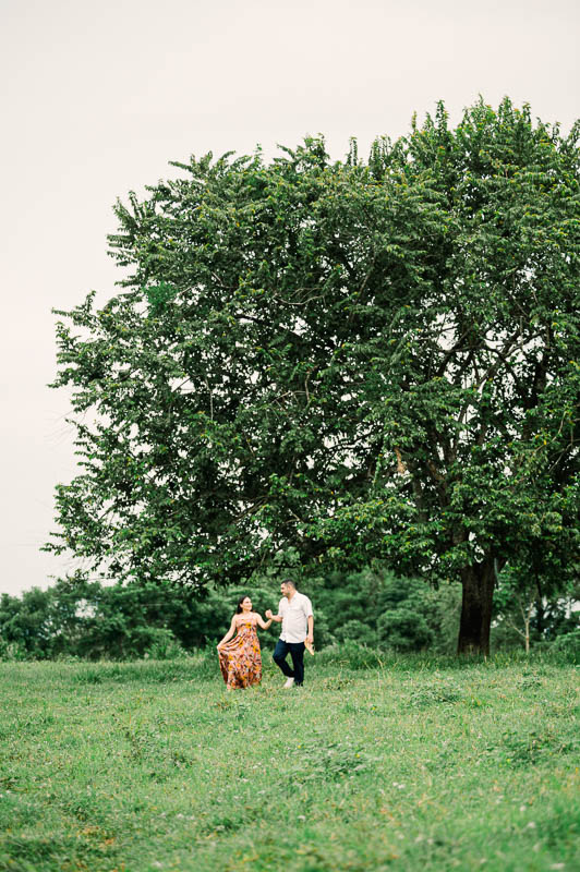 Descripción de la imagen 16
